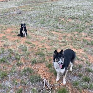 Meet your Posher, Jenay